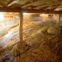 Crawlspace Waterproofing – Should You Insulate the Dirt Floor? | Westland, MI