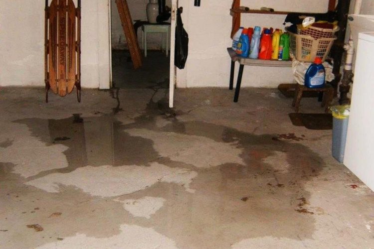 Facts about Wet Basements That May Surprise You Detroit
