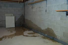 Wet Basements | Detroit, MI | Everdry Waterproofing of S.E. Michigan
