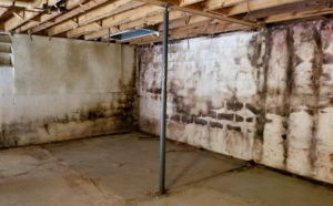 Black Mold in Basement | Detroit, MI | Everdry Waterproofing of S.E. Michigan