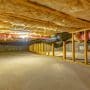 Crawlspace Waterproofing 3 Reasons to Keep Plants and Trees Away from Your Crawl Space Detroit, MI
